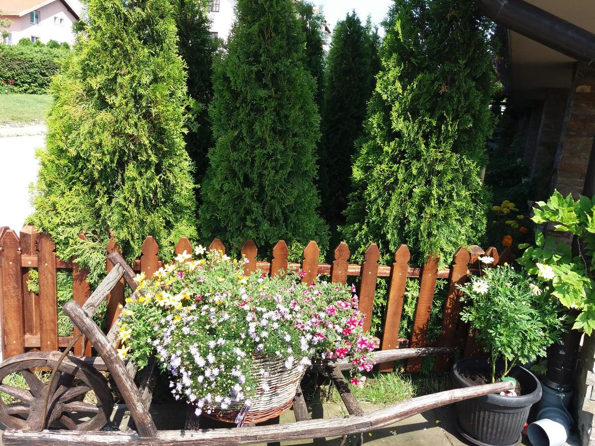 Centar! Masa Zlatibor Apartment Luaran gambar
